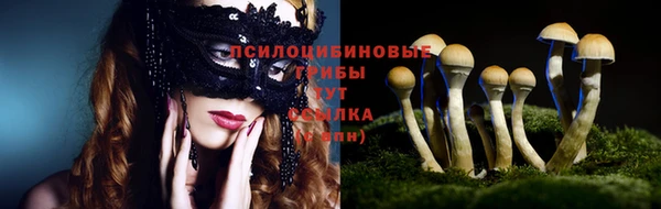 амф Липки