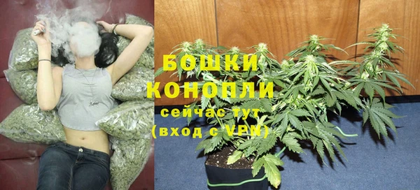 мдпв Лихославль