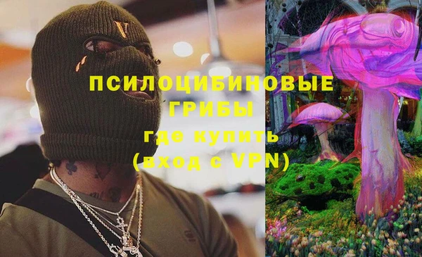 амф Липки
