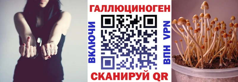 Псилоцибиновые грибы прущие грибы  Курск 