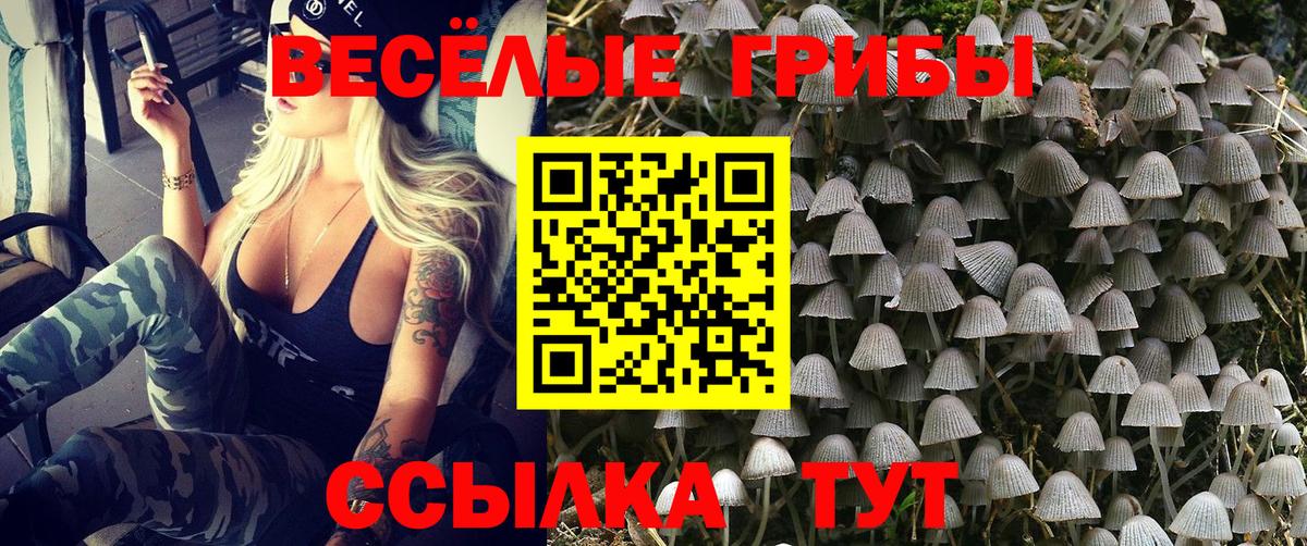 Курск  Галлюциногенные грибы прущие грибы  Вход с VPN 